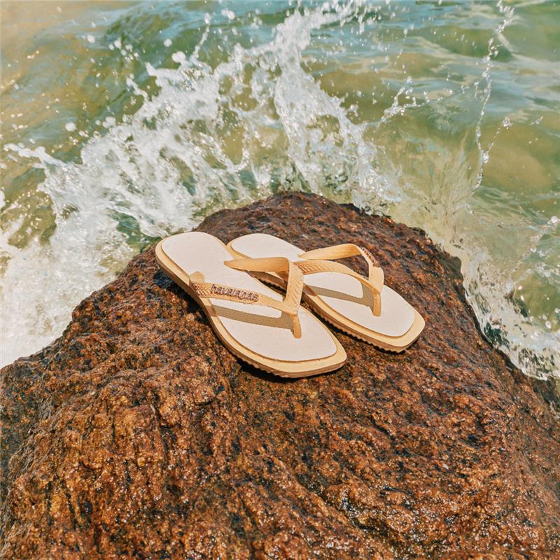 imagem_36.jpg